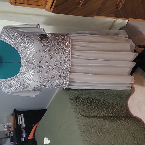 Silver Cocktail Dress - Picture 1 of 5